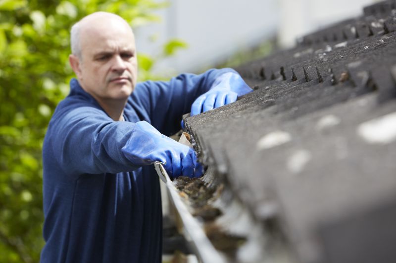 Clean and Protected Gutters