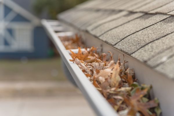 Leaf Barrier Installation in Freehold